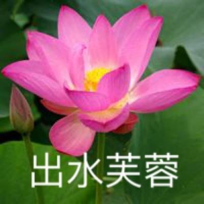 主宰沙城破解版下载